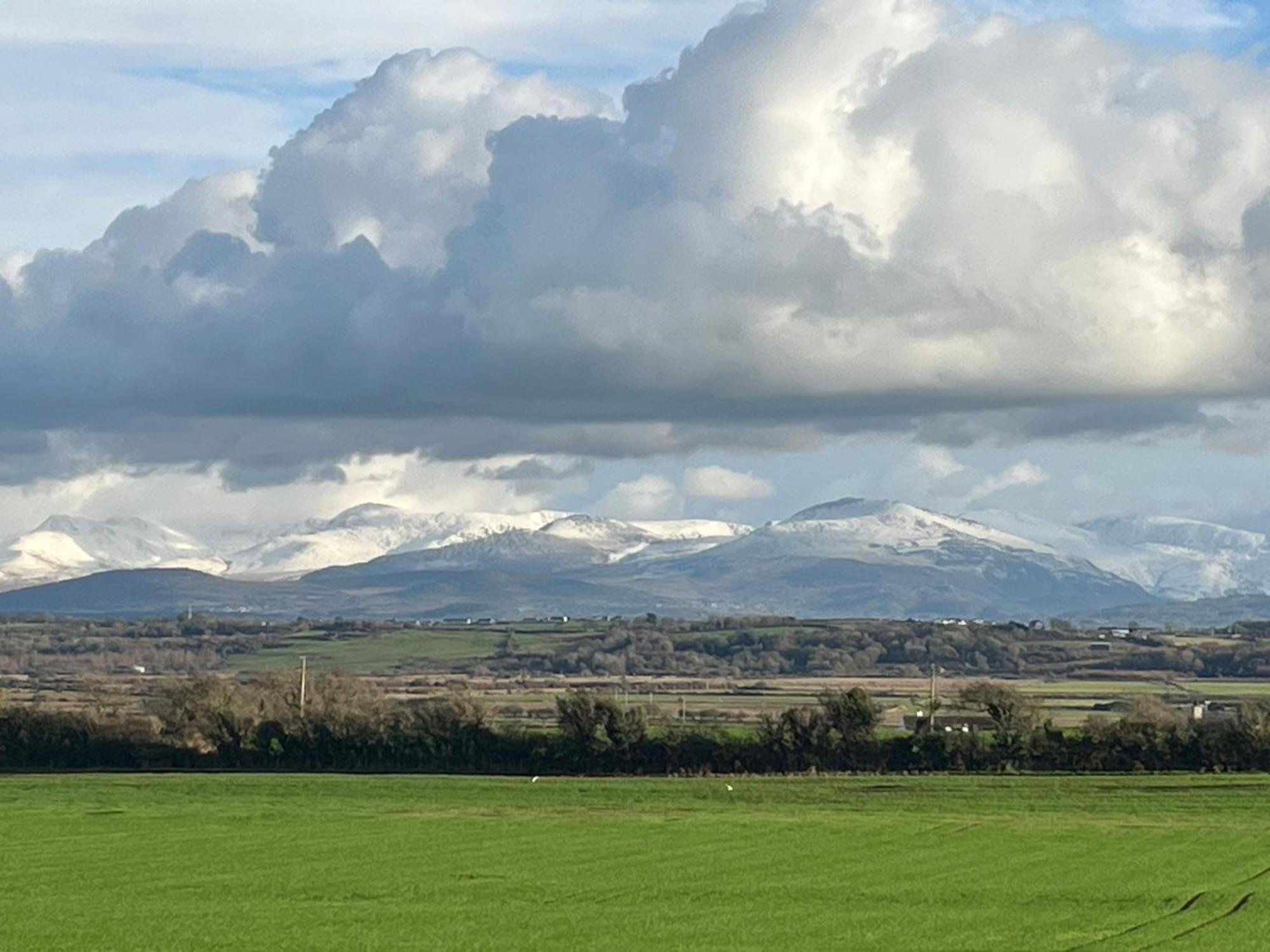 Seren Cottage Llangefni Bagian luar foto